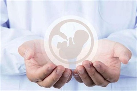 http://jinhua.hy-ly.com/post/203.html|金华试管助孕